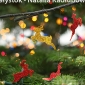 ZSTiO-Bialystok-Natalia-Kadlubowska-IMG_3908