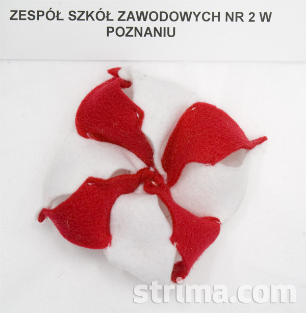 ZSZ-nr-2-w-Poznaniu-11