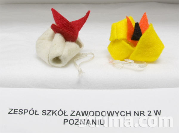 ZSZ-nr-2-w-Poznaniu-19