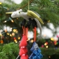 Dorota-Sobolak-IMG_3933